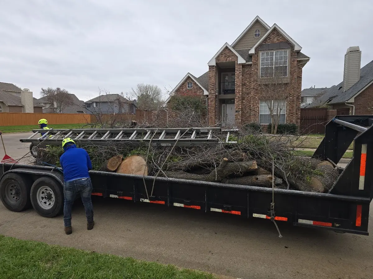 Expert Tree Fertilization with proper safety equipment in Stanley